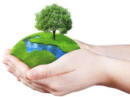 पर्यावरण सुरक्षा एवं संरक्षण